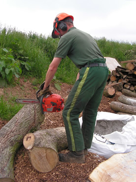 Tree Service Nassau